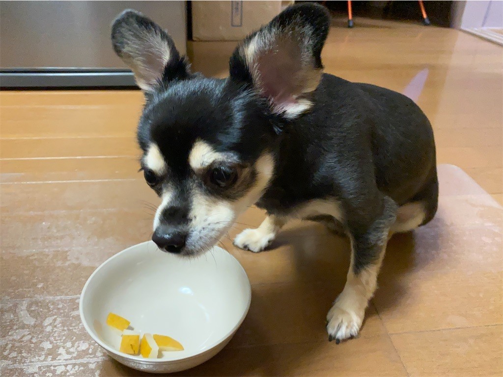 f:id:akie1000:20210918223529j:plain