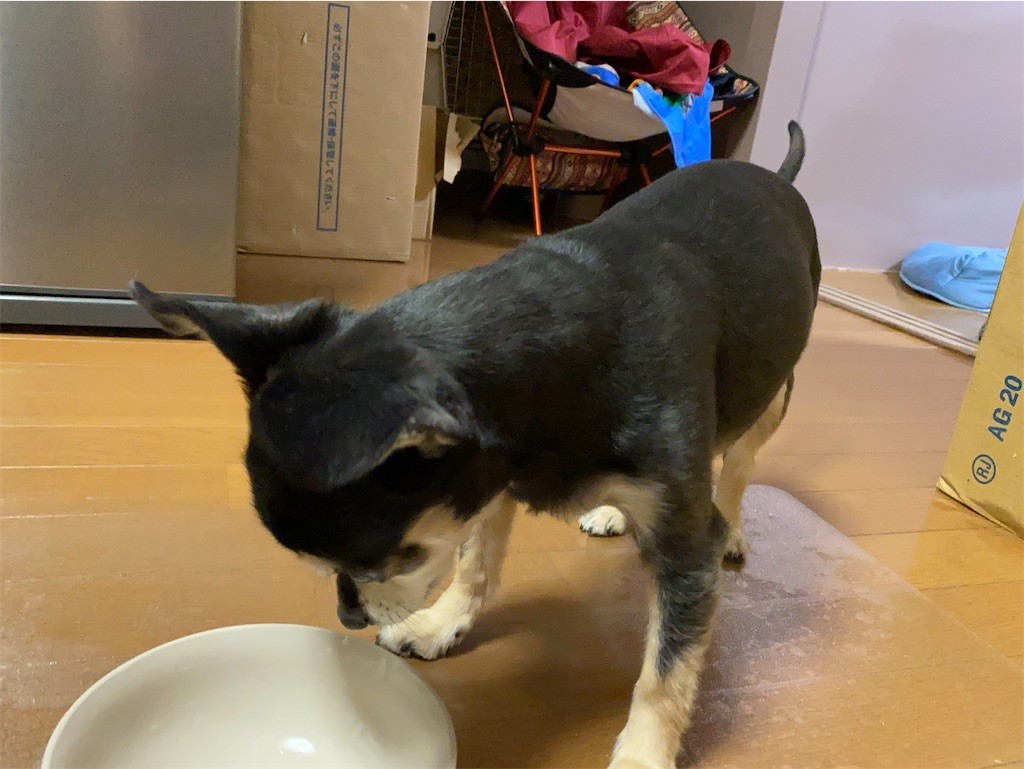 f:id:akie1000:20210918223531j:plain