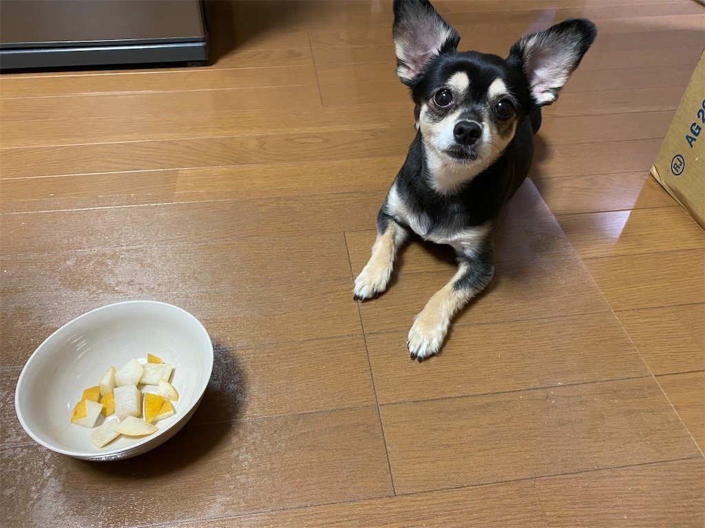 f:id:akie1000:20210918223535j:plain