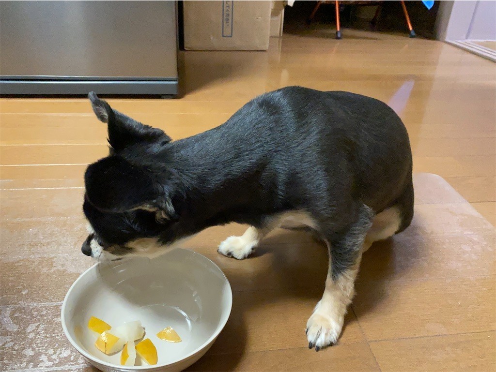 f:id:akie1000:20210918223538j:plain