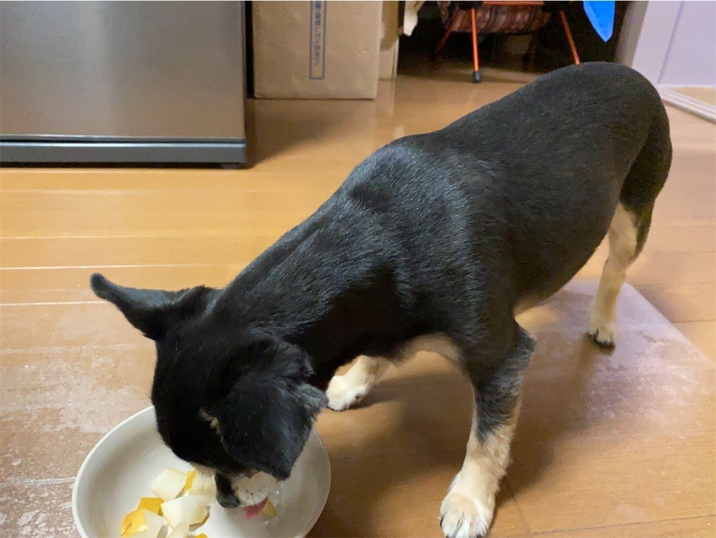 f:id:akie1000:20210918223540j:plain