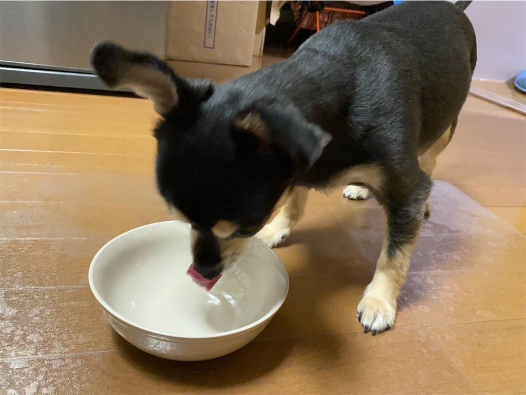 f:id:akie1000:20210918223543j:plain