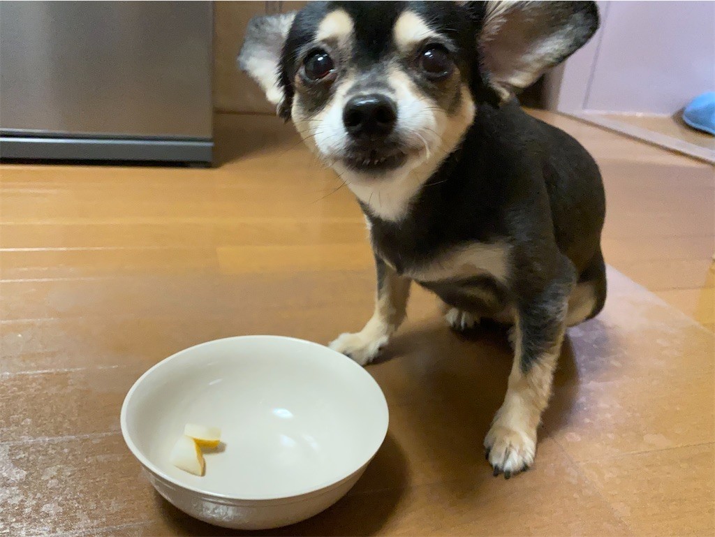 f:id:akie1000:20210918223547j:plain