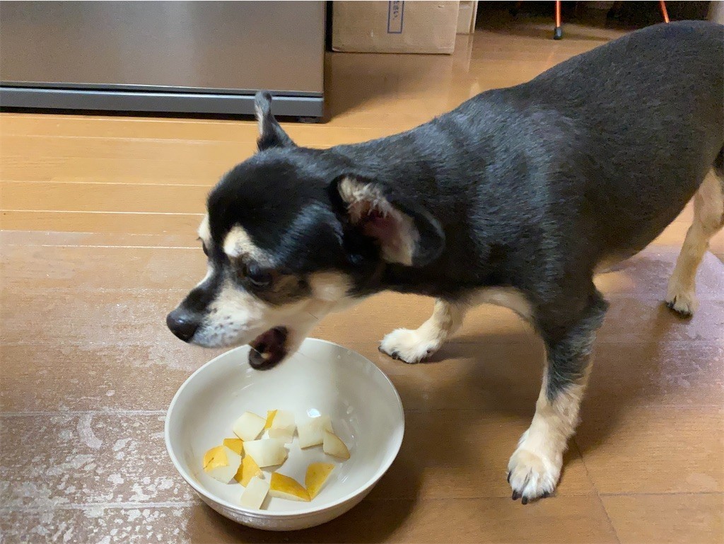 f:id:akie1000:20210918223550j:plain