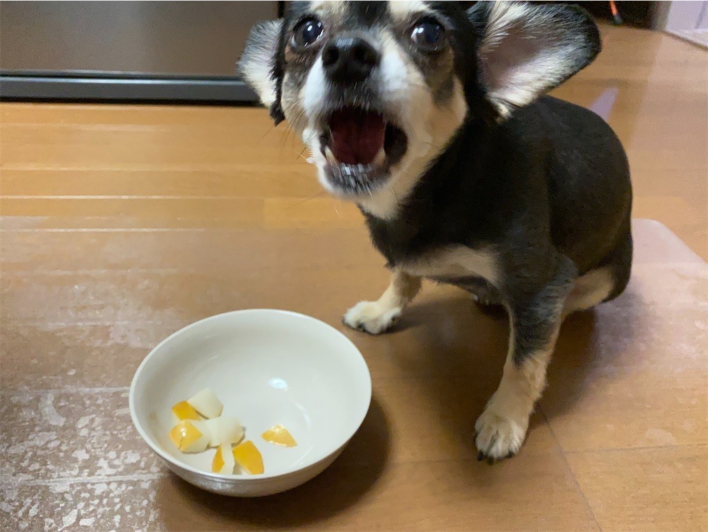 f:id:akie1000:20210918223556j:plain