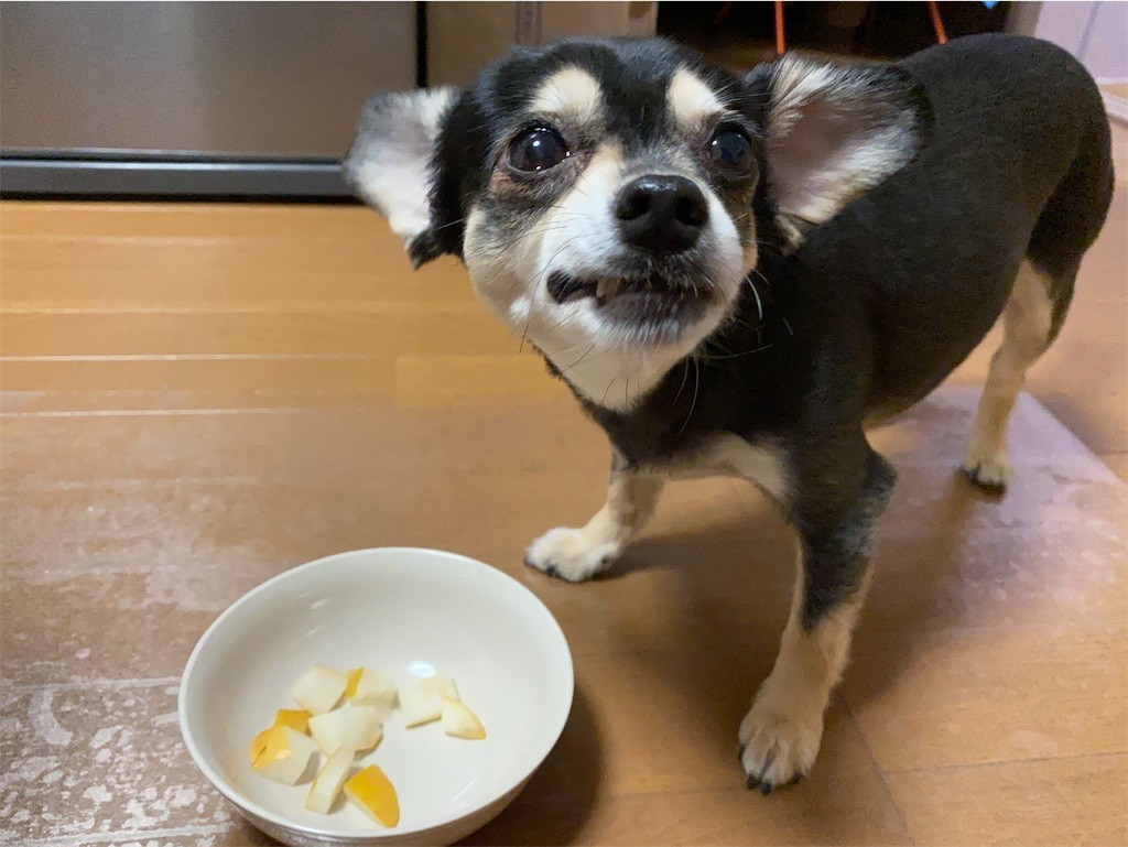 f:id:akie1000:20210918223558j:plain