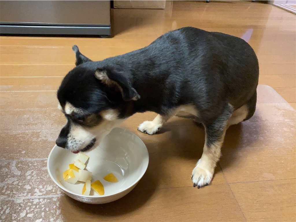 f:id:akie1000:20210918223601j:plain