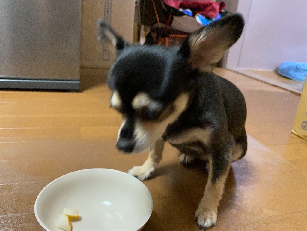 f:id:akie1000:20210918223604j:plain