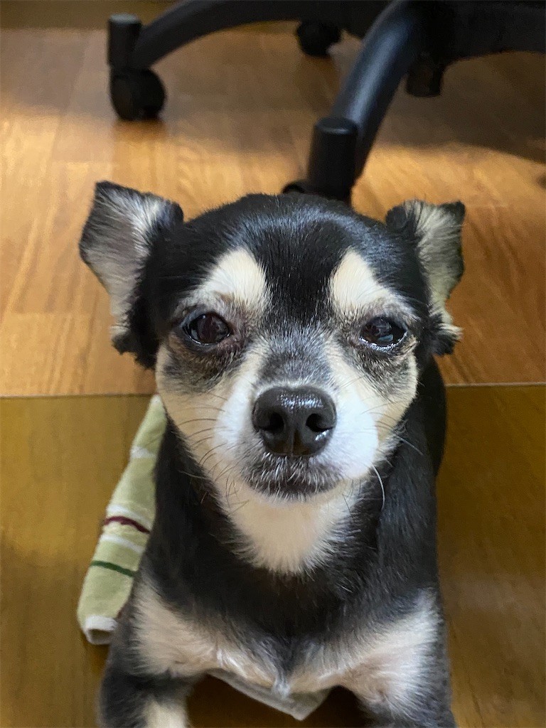 f:id:akie1000:20210918223617j:plain