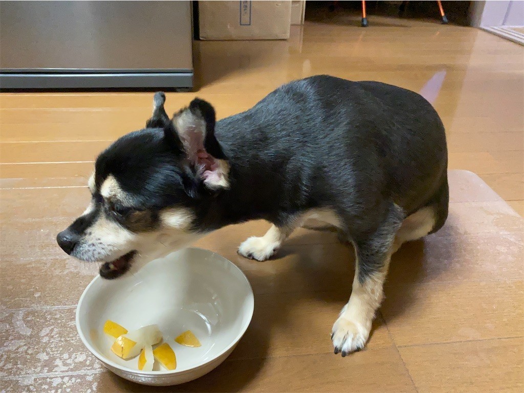 f:id:akie1000:20210918223619j:plain