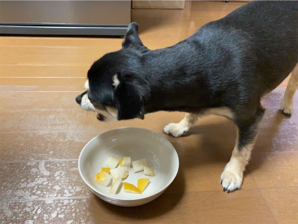 f:id:akie1000:20210918223622j:plain