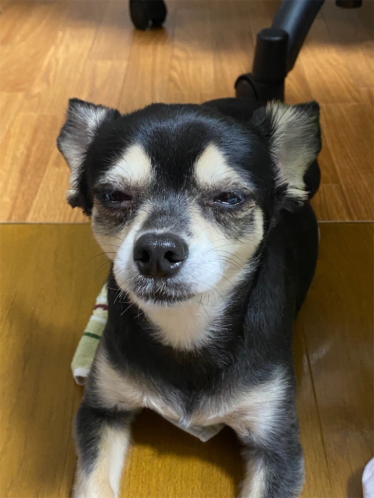 f:id:akie1000:20210918223626j:plain