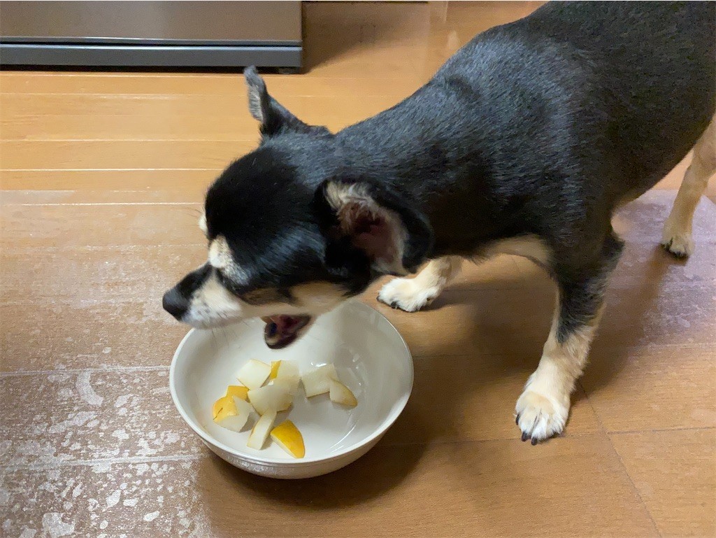 f:id:akie1000:20210918223629j:plain