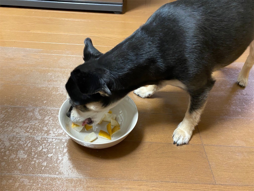 f:id:akie1000:20210918223632j:plain