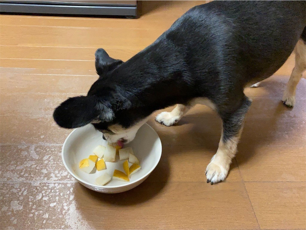 f:id:akie1000:20210918223635j:plain