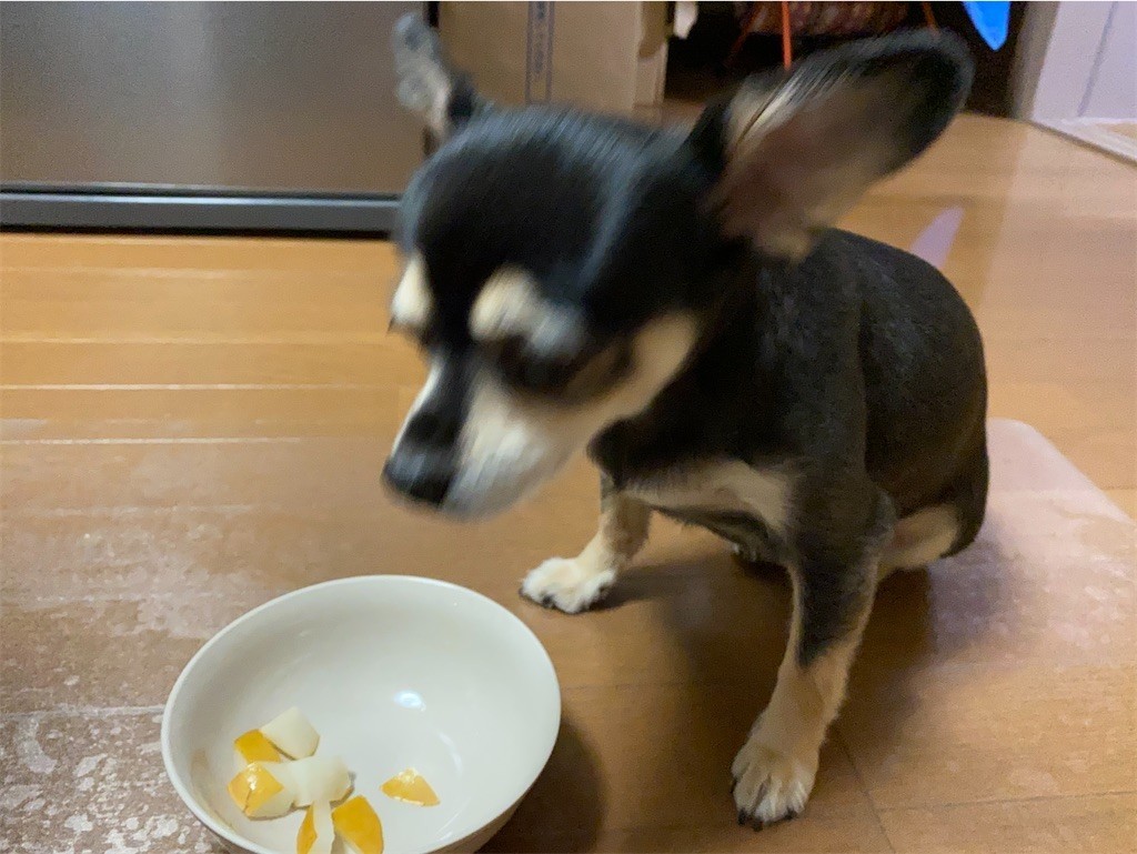 f:id:akie1000:20210918223638j:plain