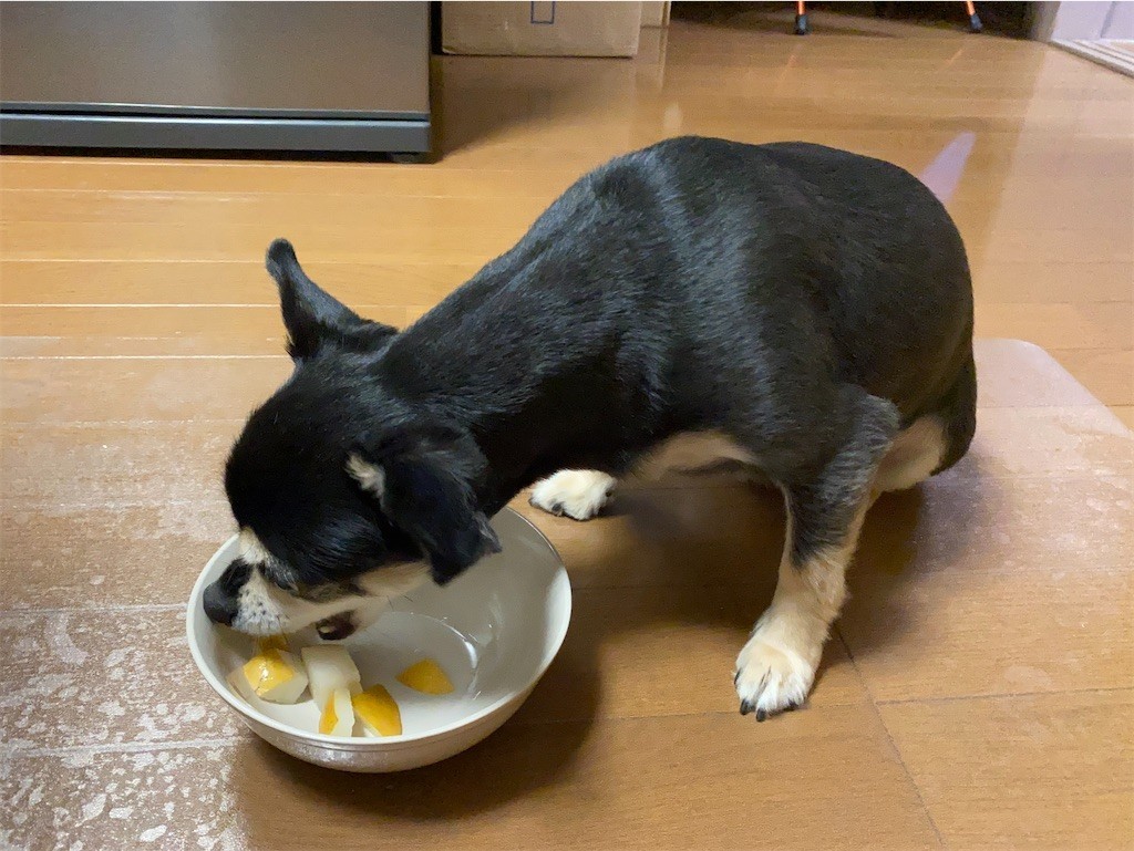 f:id:akie1000:20210918223641j:plain