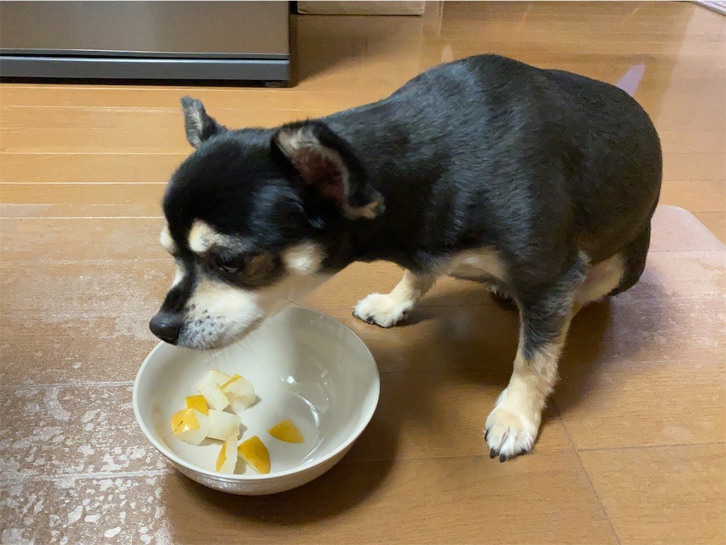 f:id:akie1000:20210918223644j:plain