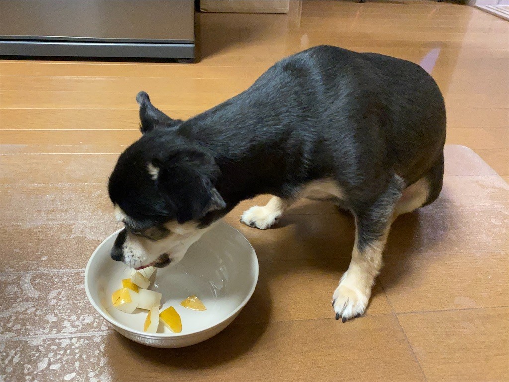 f:id:akie1000:20210918223650j:plain