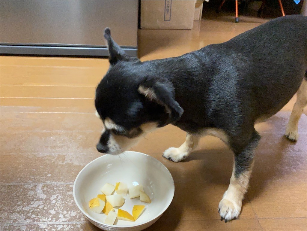 f:id:akie1000:20210918223653j:plain