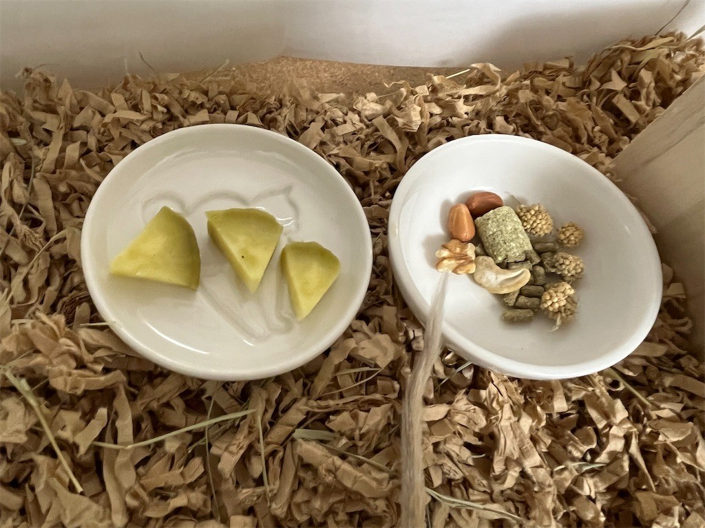 f:id:akie1000:20211023223015j:plain