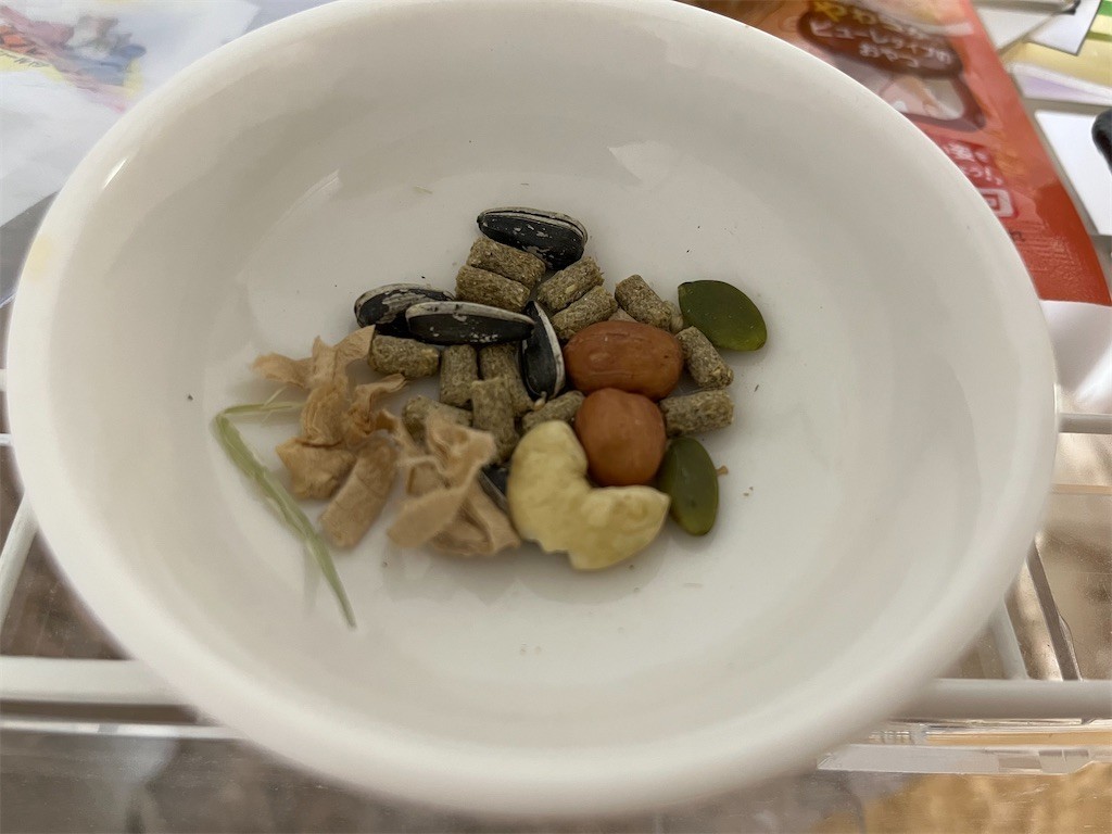 f:id:akie1000:20211023223043j:plain