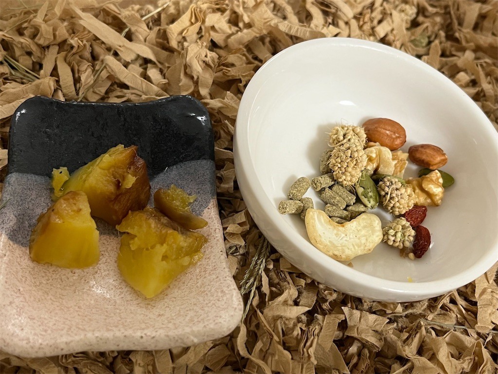 f:id:akie1000:20211028214940j:plain