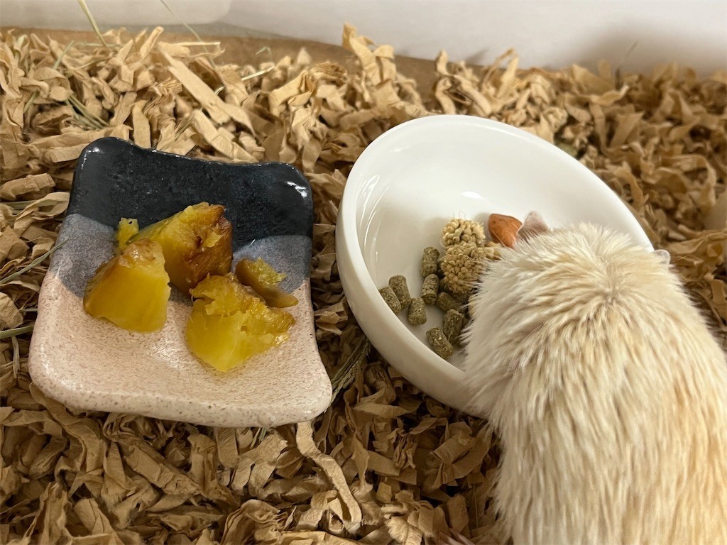 f:id:akie1000:20211028215643j:plain