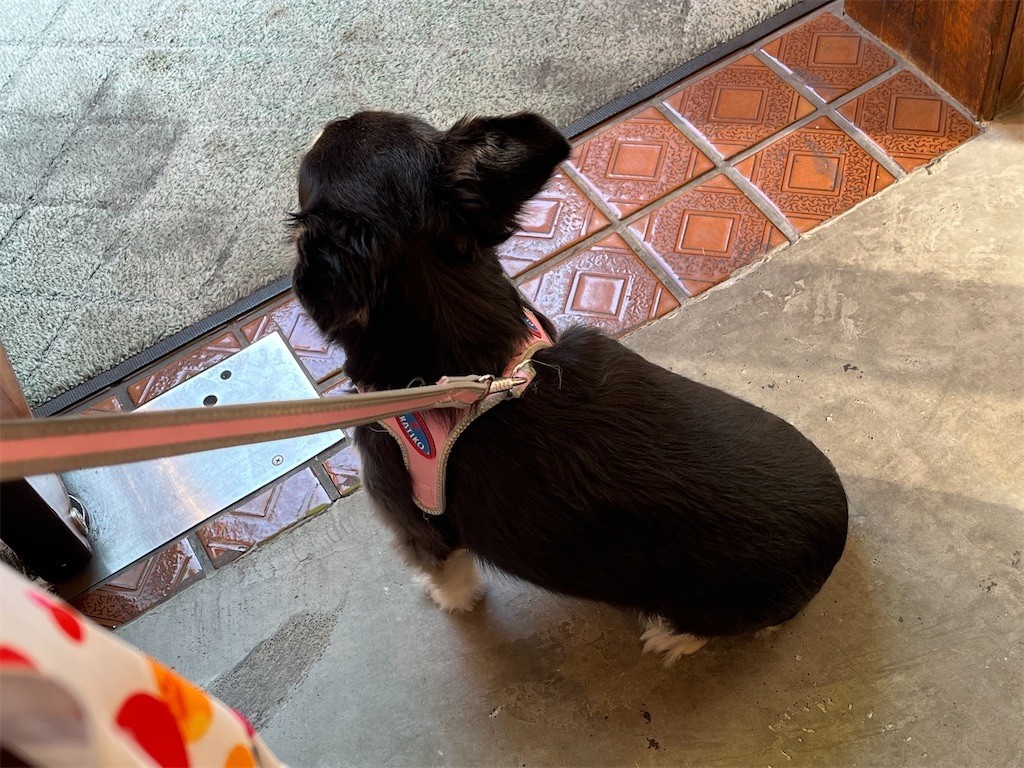 f:id:akie1000:20211103200939j:plain