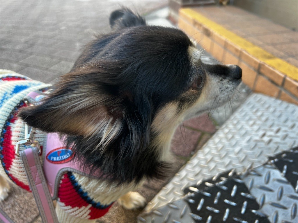 f:id:akie1000:20211129220348j:plain