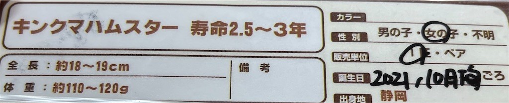f:id:akie1000:20220103221857j:plain