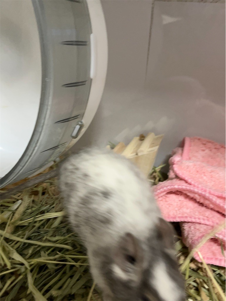 f:id:akie1000:20220219235250j:plain