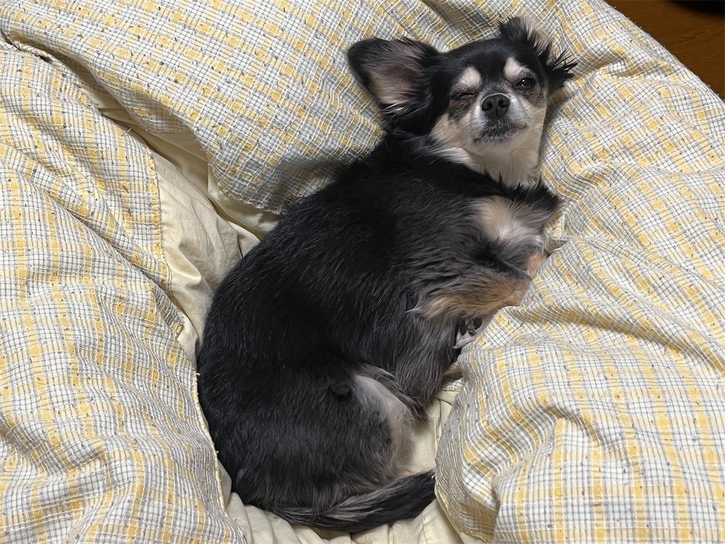 f:id:akie1000:20220224222438j:plain