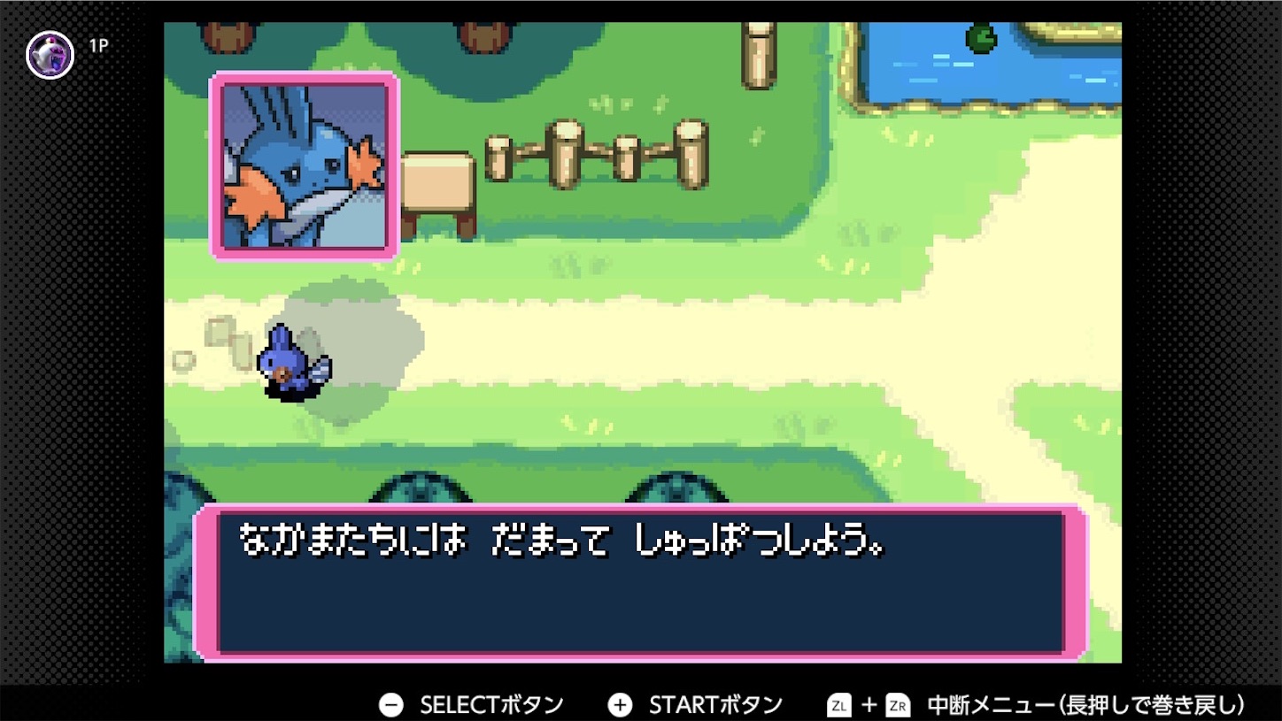 【ケロタン】他の方は購入できません ポケダン赤の救助隊】途中で進んだとこ① - akiemoのキラッと水のブログ