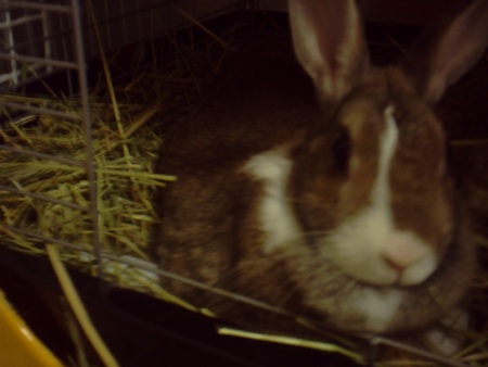 f:id:akiennko:20070617001202j:image