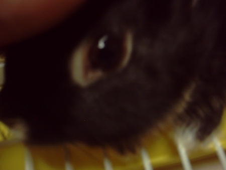 f:id:akiennko:20070617001233j:image