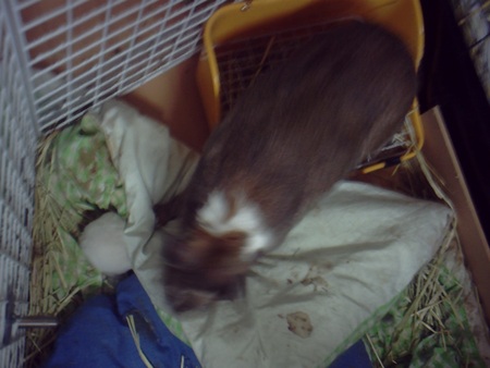 f:id:akiennko:20070620234802j:image