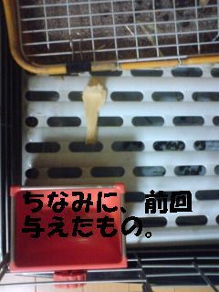 f:id:akiennko:20070908234829j:image