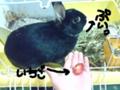 20080227000734