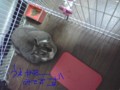 20090206020520