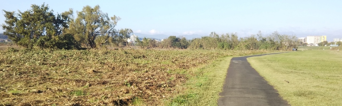 f:id:akifukka:20191104144208j:plain f:id:akifukka:20191104144208j:plain