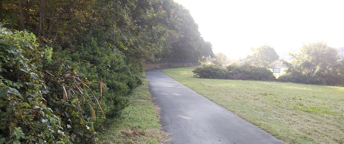 f:id:akifukka:20191104151315j:plain f:id:akifukka:20191104151315j:plain