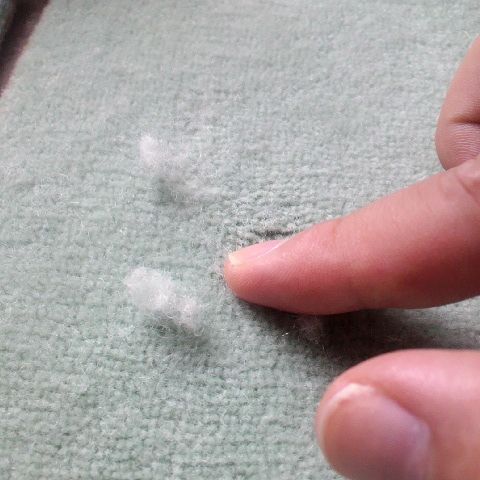 f:id:akigamishop:20190529122410j:plain f:id:akigamishop:20190529122410j:plain