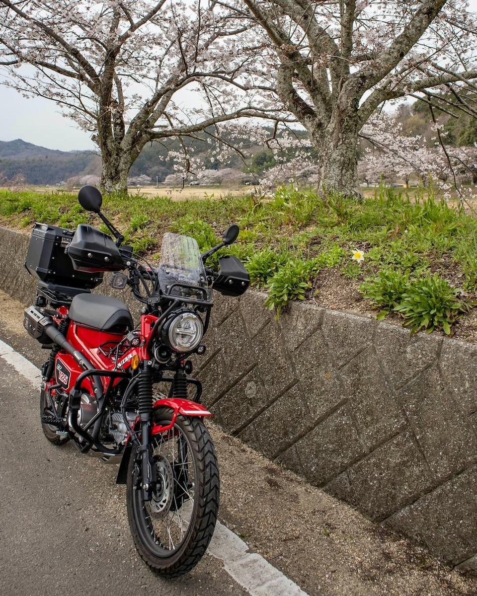 DRC ワイドフットペグ CT125