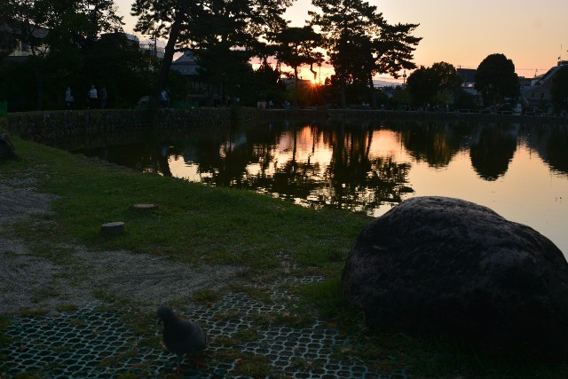f:id:akihiko-0113:20191006185013j:image