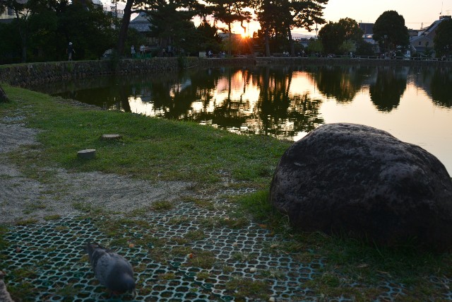 f:id:akihiko-0113:20191007005911j:image