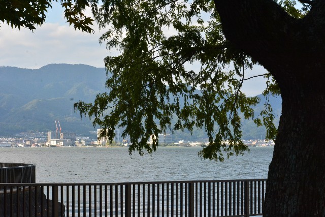 f:id:akihiko-0113:20201111023539j:image
