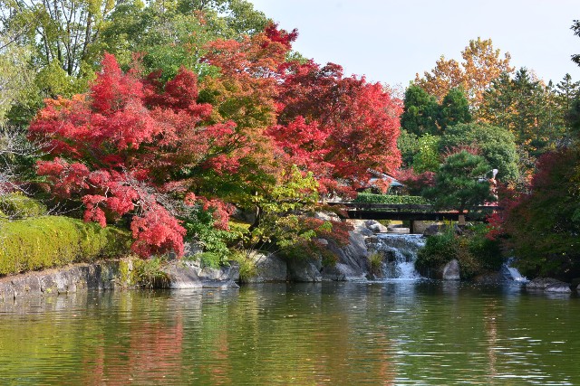 f:id:akihiko-0113:20201111030612j:image