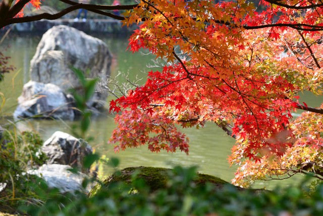 f:id:akihiko-0113:20201111030744j:image