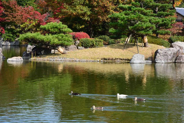f:id:akihiko-0113:20201111030816j:image